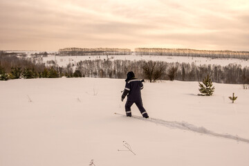 a man-hunter in warm clothes in search of prey and new impressions, purposefully goes skiing along the virgin snow between young conifers