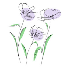 Wildflowers, outline floral design elements isolated on white background. Hand drawn flowers, buds and leaves.