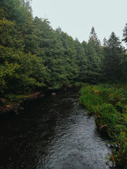 I think this is a suitable selection, including for your wallpapers, of course