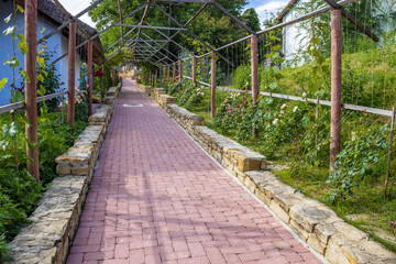 A sidewalk in the winery court with an iron construction for the roses. Moldova winery.