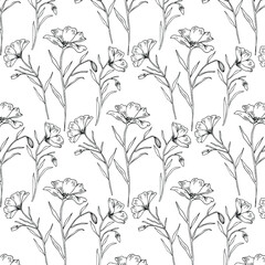 Hand drawn seamless pattern with line flowers isolated on white background. Vintage cute botanical collection. Vector illustration.
