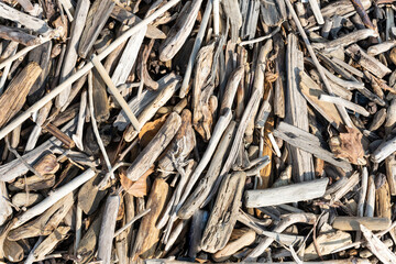 Garbage (wood chips) sanded by the sea and thrown on the beach