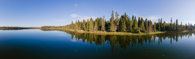 Panorama of a calm bright blue northern lake with evergreen trees along the shoreline and scattered plants in the water.
