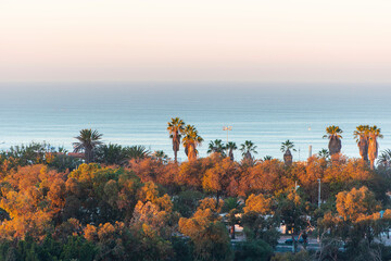 Sunrise in Agadir, panoramic view of the Atlantic Ocean, sky, palm trees in the morning time in...