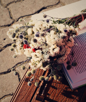 Flowers and a book on an old suitcase, vintage photo