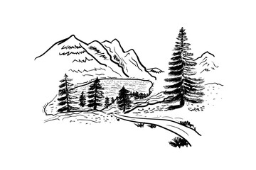 sketch of mountain lake and spruce outline vector illustration