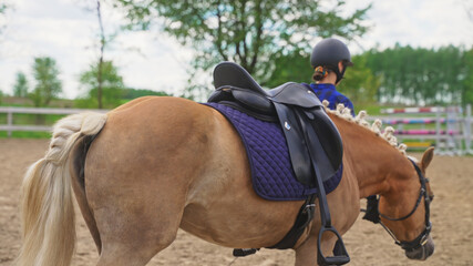 Obraz premium a young girl, a jockey walks a horse with his head bowed on the ranch. High-quality photo