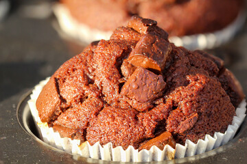 Süße Schokoladen Cupcake in einem Backblech speziell für Cupcakes