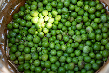green olive in a bowl
