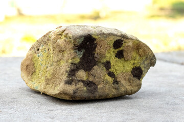 A piece of bread covered with colorful mold