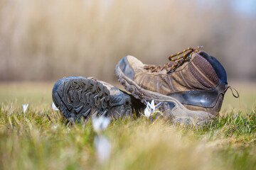 closeup pair of touristic boot lie in grass, natural outdoor hiking background