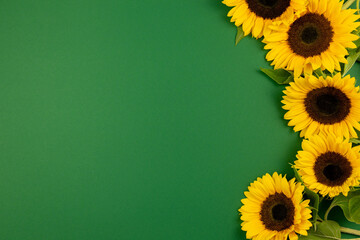 Sunflowers on dark green background. Valentine's, womens, mothers day, easter, birthday or wedding,...
