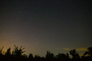 night starry sky above forest silhouette, night natural background