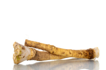 Two spicy horseradish roots, close-up, isolated on white.