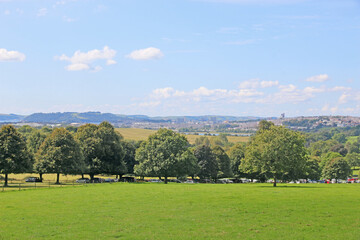 Parkland in South Devon