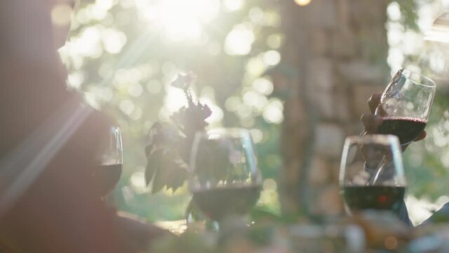 friends drinking wine making toast celebrating dinner party at sunset sitting at table chatting sharing lifestyle people relaxing outdoors 