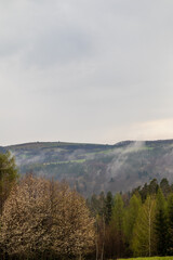 hills after rain