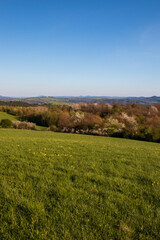 Fototapeta premium landscape with grass and blue sky