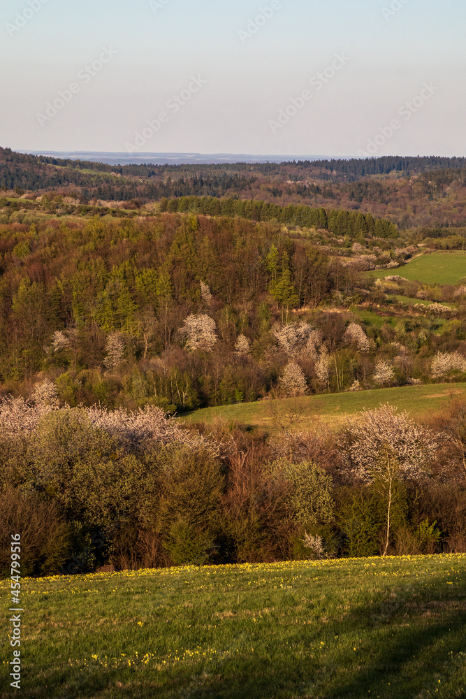 Canvas Prints landscape with trees and hills