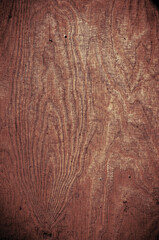 Obraz premium tree details and wood textures