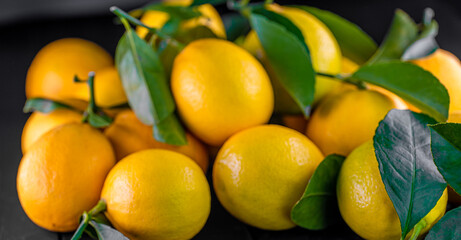 Fresh lemons on wooden background