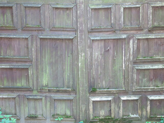 old vintage wooden brown gate with greenish mold