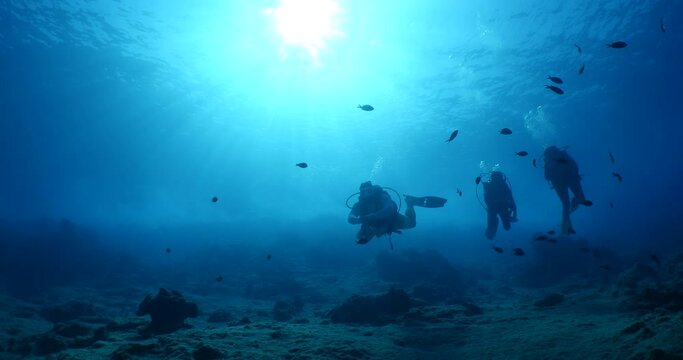 scuba divers coming down descending scenery underwater sun beams and rays sun shine silhouette scenery
