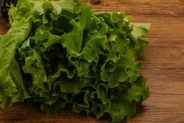 Green lettuce salad heap leaves