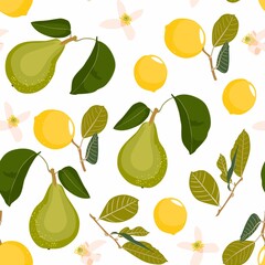 Stylish pear  and lemon seamless pattern in scandinavian style. Fruit illustration. Natural seamless texture. White background.