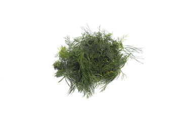 A Dill isolated on a white background