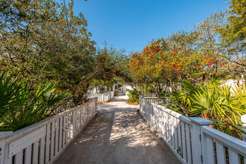 White sand path beach wooden architecture way path with green plants along sidewalk for retirement...