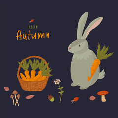 Forest animals with autumn elements. A hare in the forest among mushrooms and foliage with a wicker basket. Poster with Forest design illustration. Vector illustration