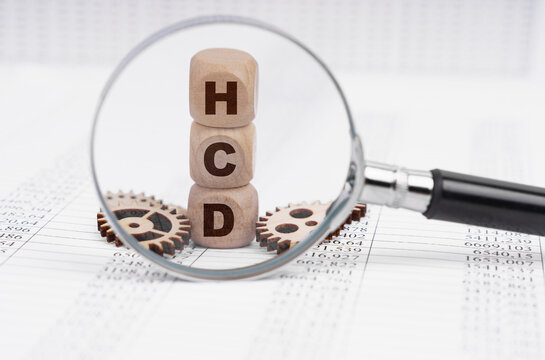 There is a magnifying glass on the documents that points to the cubes with the inscription - HCD
