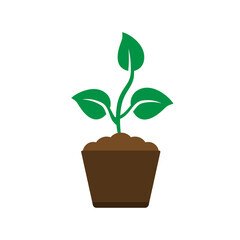 Money Tree icon vector on white background