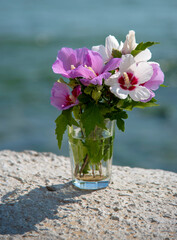 A bouquet of hibiscus in a glass against the background of the sea.