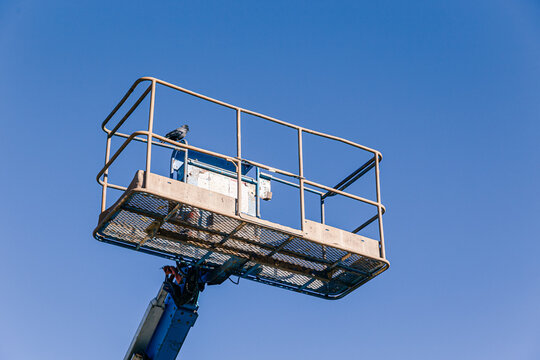 Bird perched on a mechanical lift