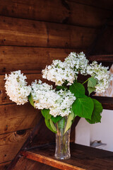 White flowers in a crystal vase in the rays of light