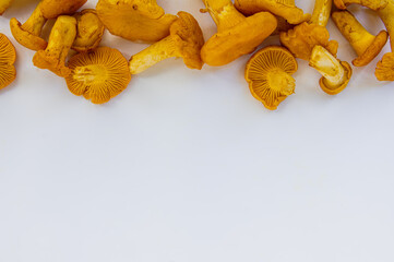 Studio shot of fresh yellow delicious wavy autumn vegetarian chanterelle mushrooms at the top on white background with copy space at the bottom 