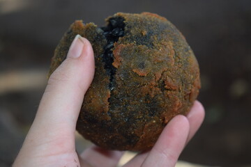 Sicilian arancina with cuttlefish ink that darkens the rice inside, held in hand