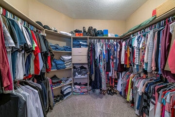 Full organized walk in closet with open wardrobe and carpeted flooring