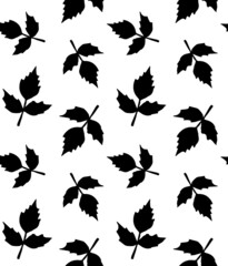 Vector seamless pattern of hand drawn doodle sketch autumn leaves silhouette isolated on white background