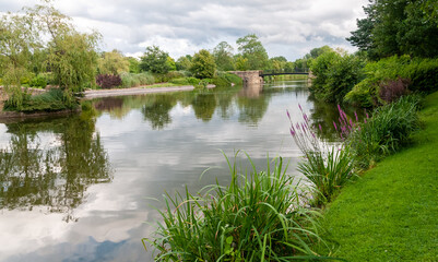 Garden in Alexandra Park Oldham