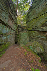 Box Canyon in a Quiet Forest