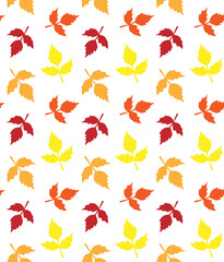 Fototapeta premium Vector seamless pattern of different color hand drawn doodle sketch autumn leaves silhouette isolated on white background