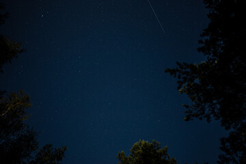 Fototapeta premium sky with stars