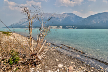 Landscapes along the shores of Abraham Lake and the South Saskatchewan River in the Canadian Rocky...