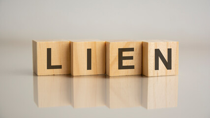 Four wooden cubes with letters LIEN. Business marketing concept.