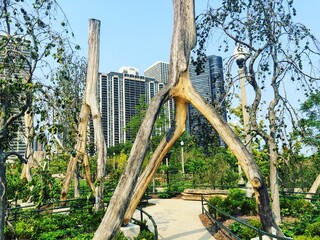 Tree Park