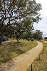 A path through the trees in a park. Leisure.