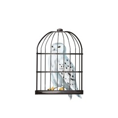 watercolor cage with white polar owl. owl in a cage
